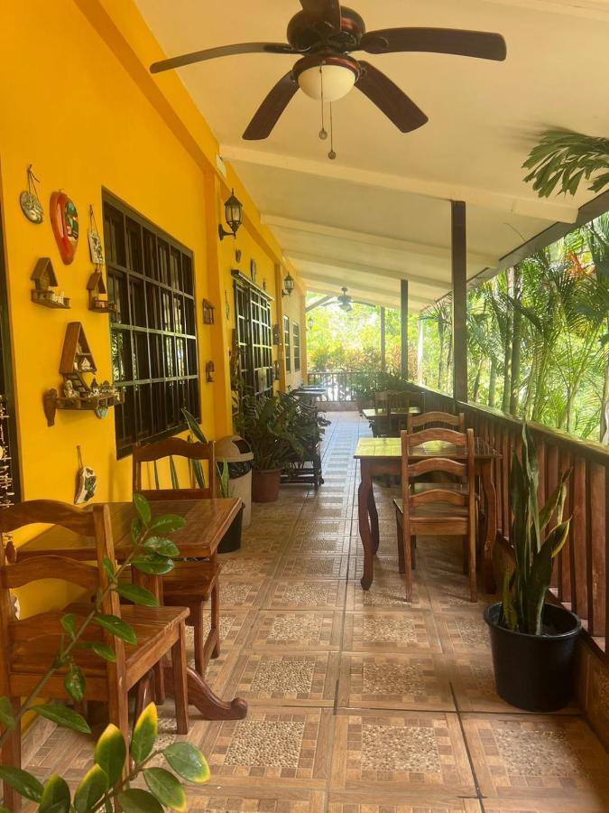Hotel Ecologico Bluerock ديفيد المظهر الخارجي الصورة